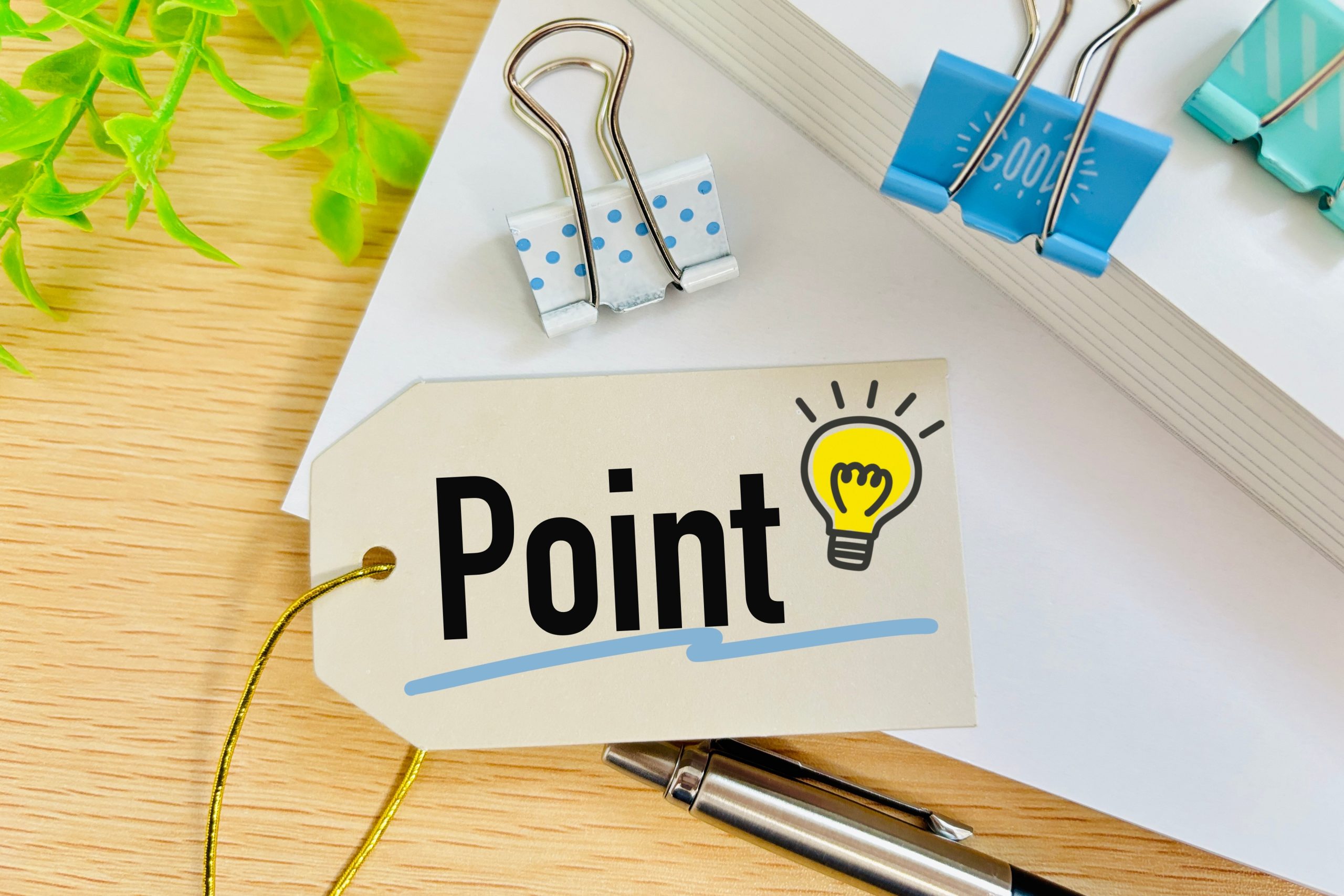 ポイントの提示